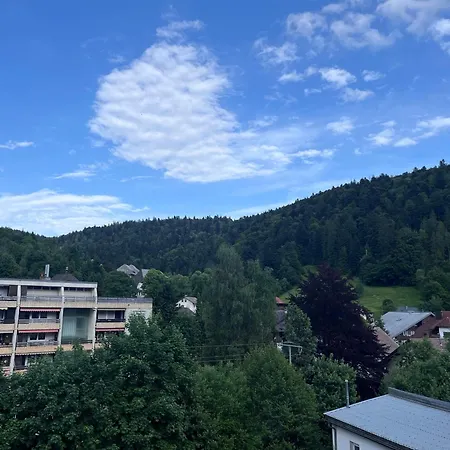Gemuetliche Maisonette-wohnung Mit Balkon Апартаменты *